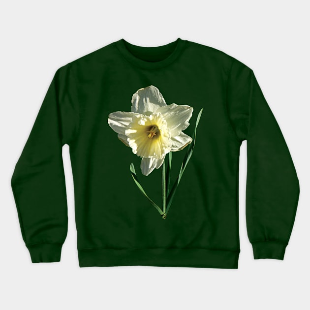 Daffodils - White Daffodil Crewneck Sweatshirt by SusanSavad